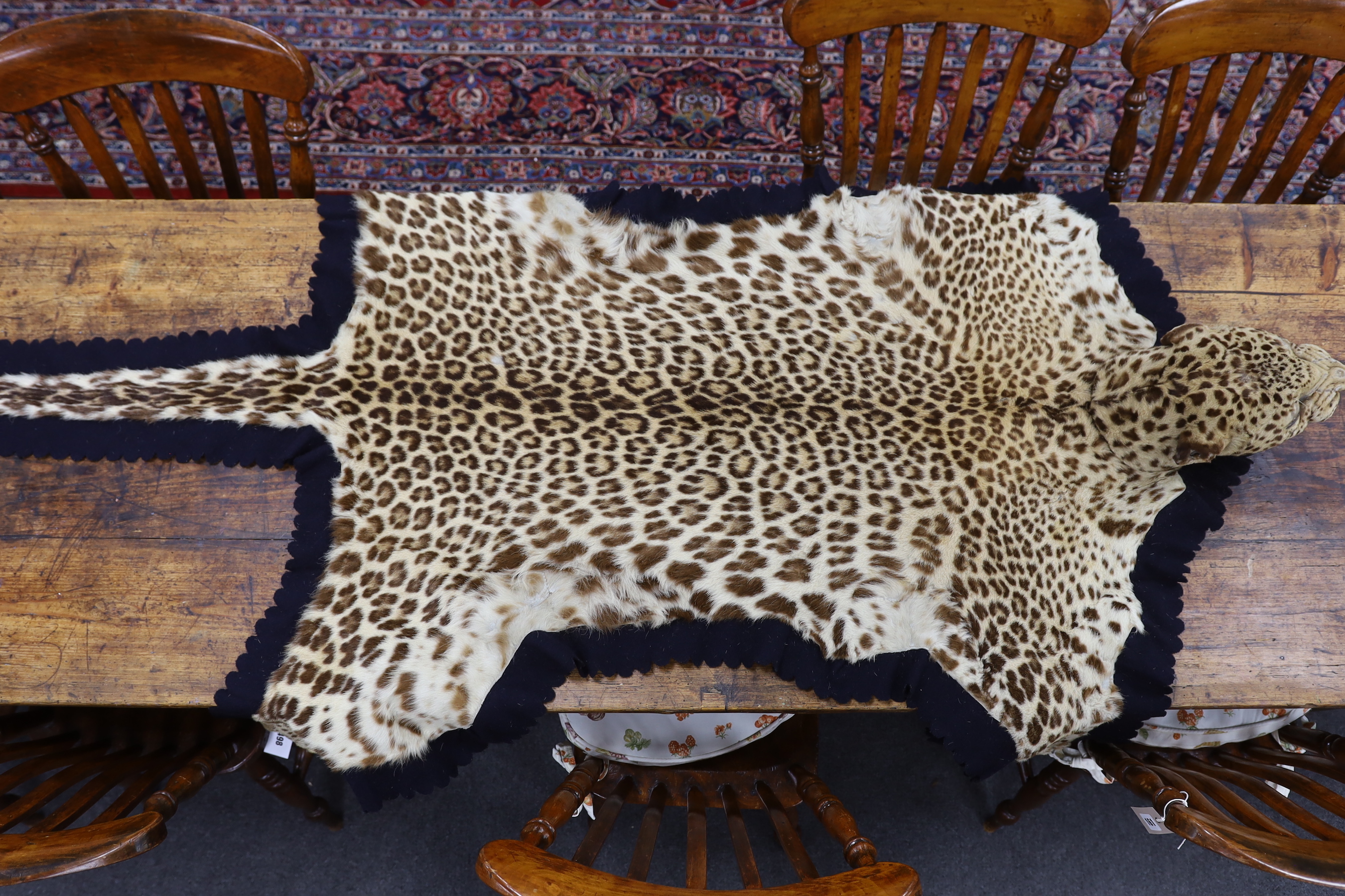 Taxidermy: Indian Leopard Skin Rug (Panthera pardus fusca), late 1930s, by Van Ingen & Van Ingen, Taxidermist's, Mysore, India, stencilled inventory no.22681, 199cm long